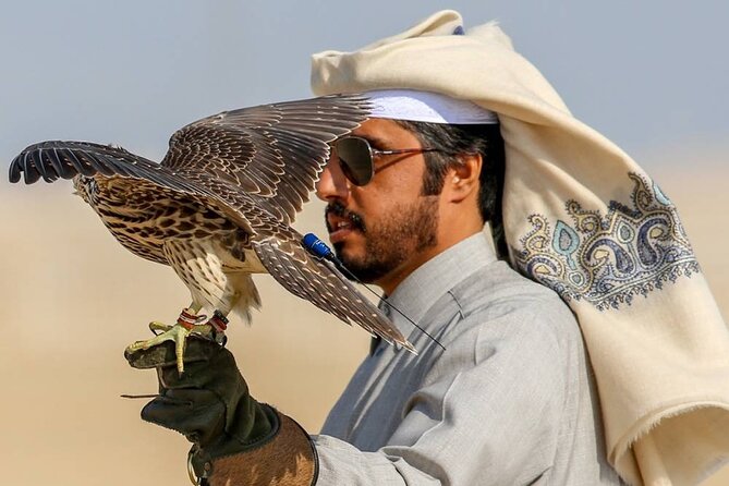 Doha Night Desert Safari Stargazing Dune Drive Camel Ride - A short tour with a clear pace