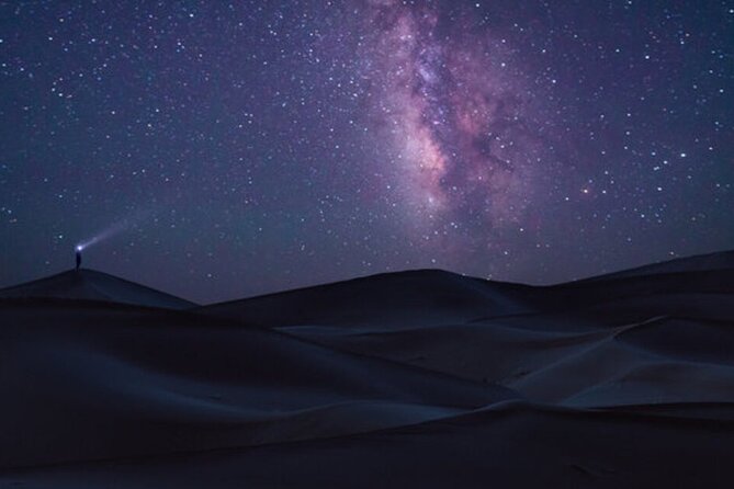 Doha Night Desert Safari Stargazing Dune Drive Camel Ride - Sealine Beach, where sand meets the sea