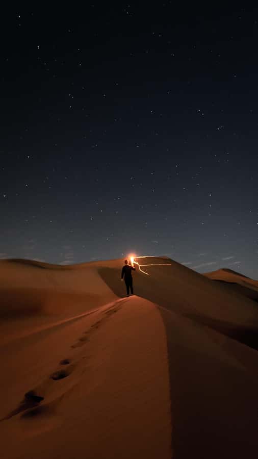 Doha: Night Desert Safari, Stargazing, Dune Driving &Inland - Mesaieed tea, camels, and camp activity