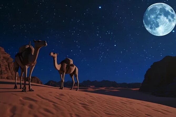 Doha Night Desert Safari, Stargazing, Photography، Relaxation - Simple planning that makes the evening better