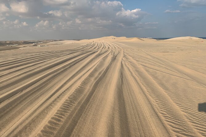 Doha : Night Desert Safari | Transit Safari | Camel ride | Dune Bashing - What $59 gets you