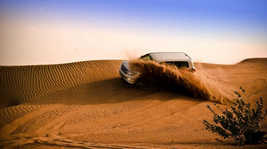 Doha: Night Desert Safari with Camel Ride and Sandboarding - Key points to know before booking