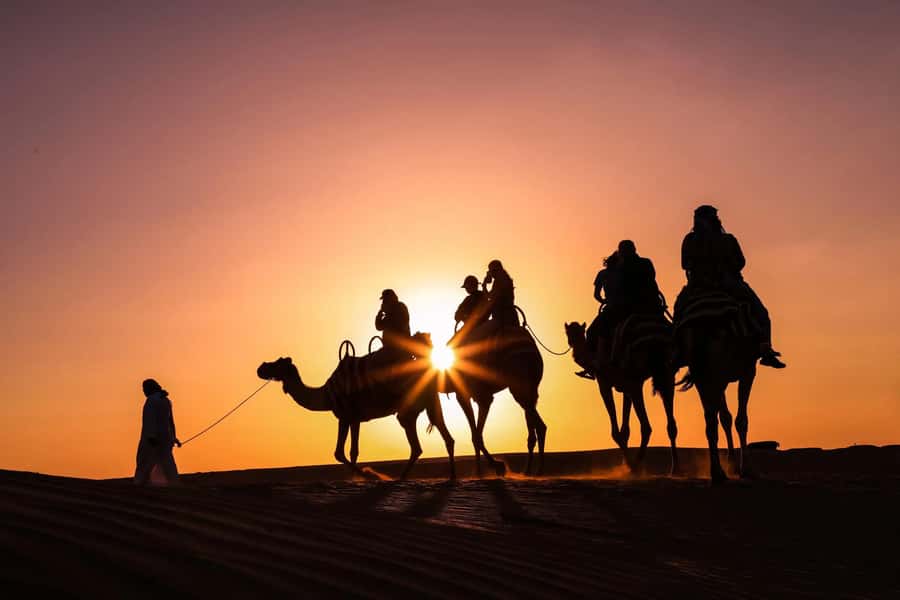 Doha: Night Desert Safari with Camel Ride and Sandboarding - Camel time at the Inland Sea