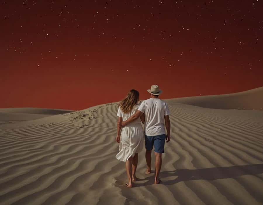 Doha : Night Desert Safari with Dune Bashing & Stargazing - Practical Details Before You Go