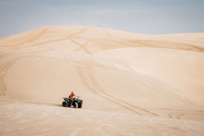 Doha-Night Desert Safari with Sand Board and Camel Ride - Sandboarding on the soft slopes