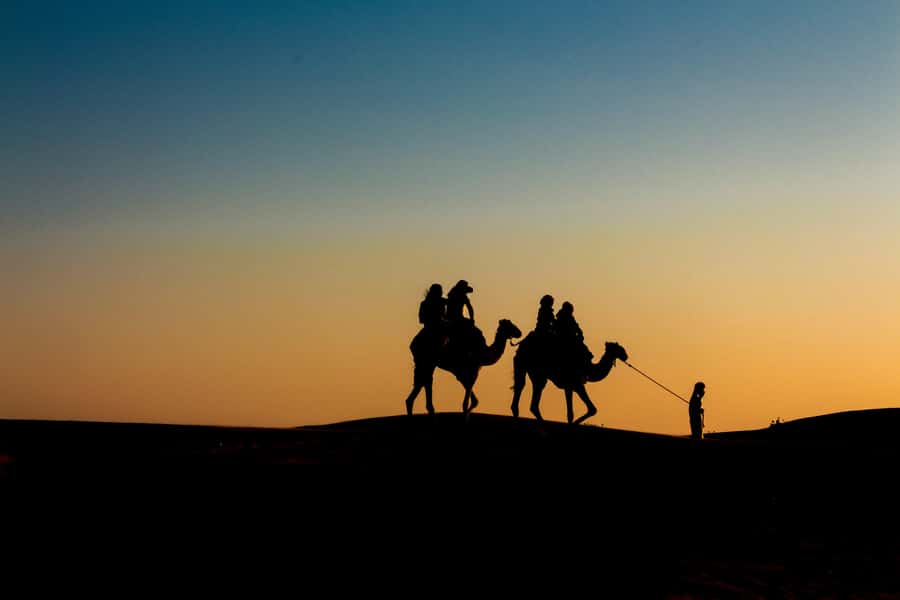 Doha: Night Desert Safari With Stargazing and Inland Sea - From Doha to Sealine in a Private 4x4