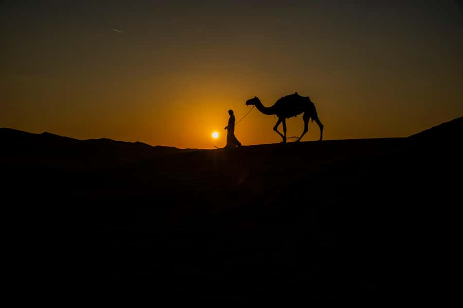 Doha: Night Desert Safari With Stargazing and Inland Sea - Sealine: Camels, Falcons, and Deflated Tires