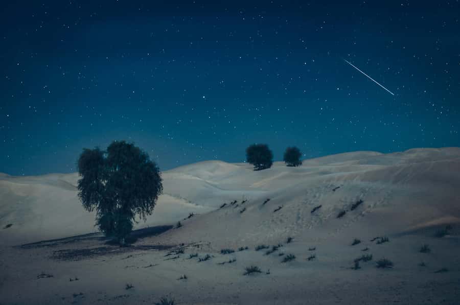 Doha: Night Desert Safari With Stargazing and Inland Sea - Who Will Enjoy This Safari Most