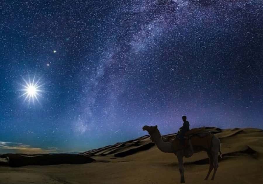 Doha: Night Desert Safari with Stargazing & Camel Ride - Key points to know before booking