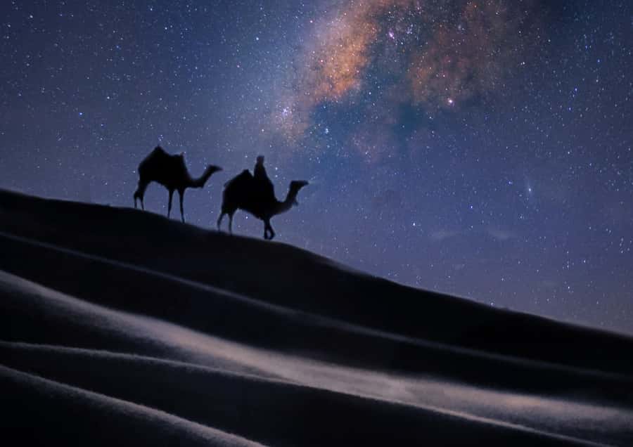 Doha: Night Desert Safari with Stargazing & Camel Ride - Stargazing without city lights