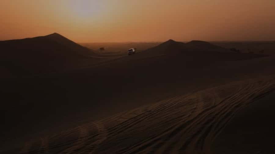 Doha: Night Desert Safari with Stargazing & Camel Ride - Choosing a guide and getting the most from the outing
