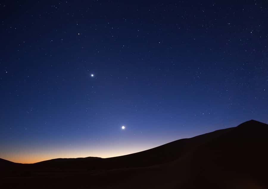 Doha: Night Desert Safari with Stargazing & Camel Ride - Should you book the Doha night desert safari?