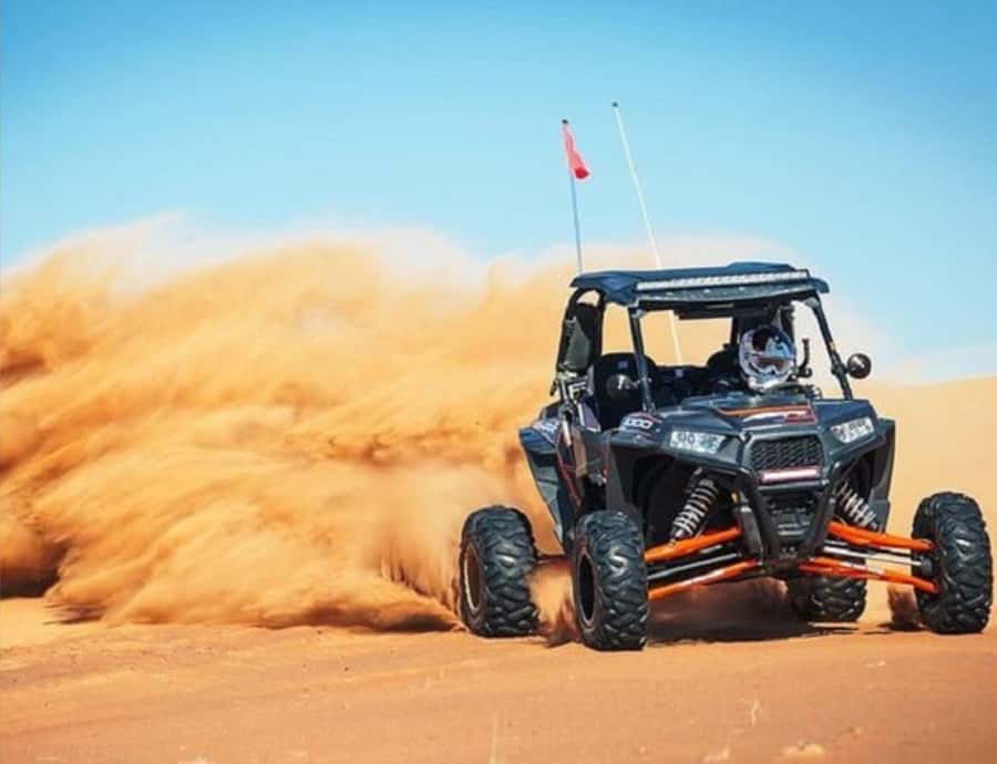 Doha: Night Inland Sea Desert Safari with Full Activities - Who Will Enjoy This Most
