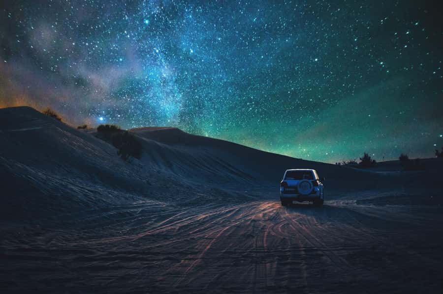 Doha: Night Safari with Dune Bashing and Camel Ride - Key points to know before booking