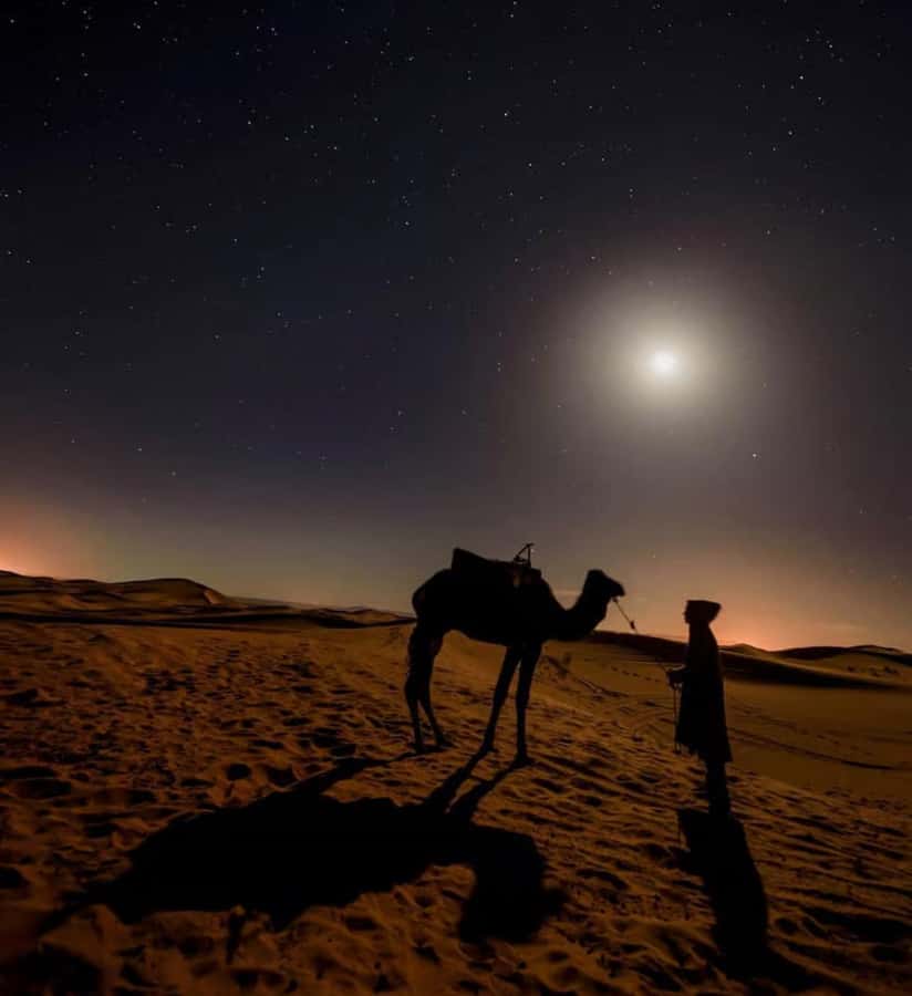 Doha: Night Safari with Dune Bashing and Camel Ride - A short camel ride at sunset