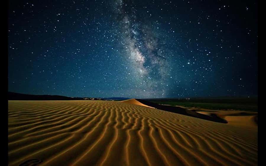 Doha: Night Safari with Dune Bashing and Camel Ride - Who should book this night safari?