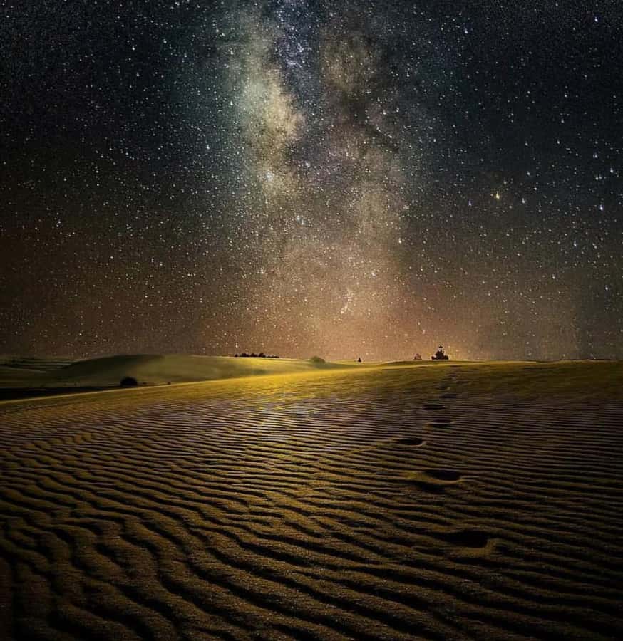 Doha: Night Safari with Dune Bashing and Camel Ride - Forty-five minutes of dune bashing
