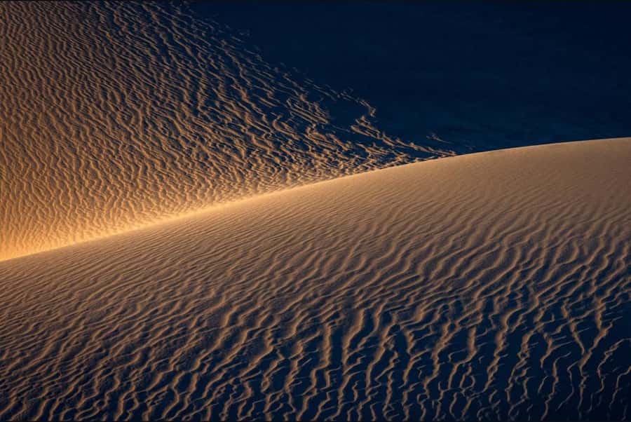 Doha: Nighttime Desert Safari with Dune Bashing & Camel Ride - Who should book this nighttime safari?