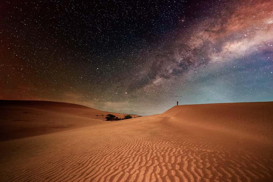 Doha: Nighttime Desert Safari with Dune Bashing & Camel Ride - Sealine Beach Resort and the first taste of sand