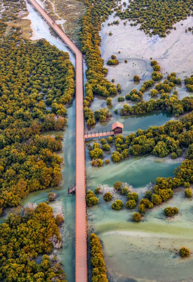 Doha North Qatar Tour Zubara Fort, Mangroves, Jumail Village - Al Thakira mangroves: a green break in the north