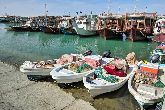 Doha North Tour Zubara Fort Jumail Village Purple Island - Who should book this northern Qatar tour