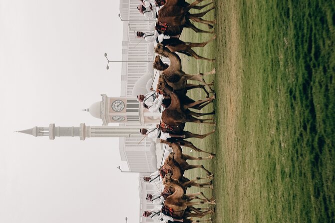Doha Private City Tour - The Pearl-Qatar and Doha’s modern side