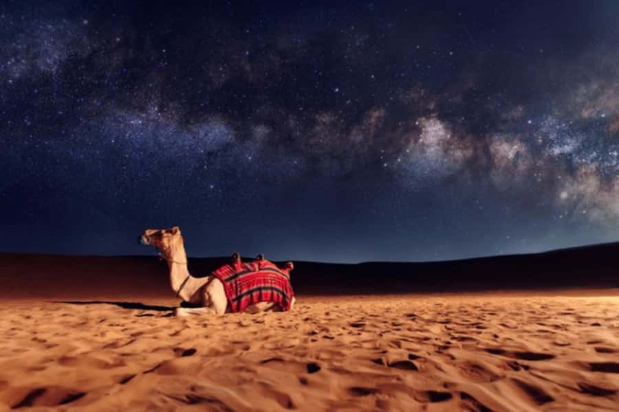 Doha: Private Desert Safari at Night with Stargazing - Leaving Doha for the Qatari desert