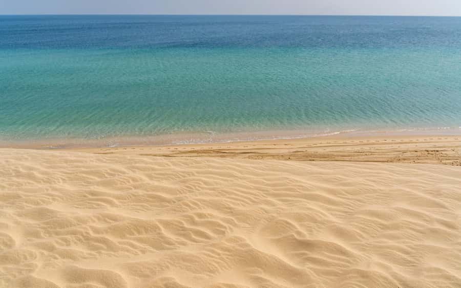 Doha:Private Desert Safari, Falcon, Sandboarding,inland sea - The Inland Sea stop and the return route