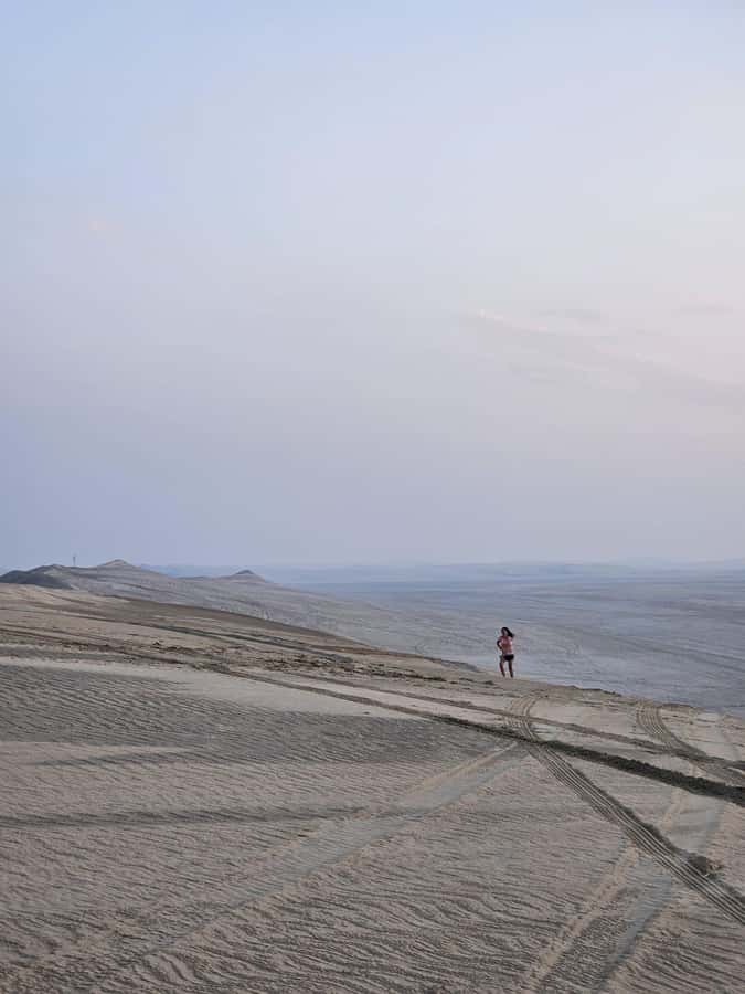 Doha:Private Desert Safari, Falcon, Sandboarding,inland sea - What the $71 price gets you