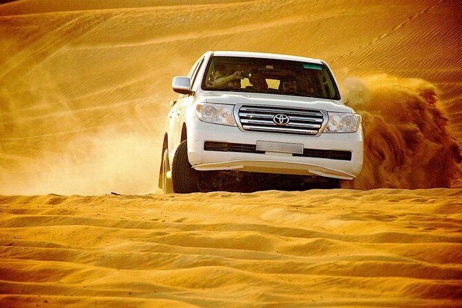 Doha: Private Half Day Desert Safari Tour in Qatar - Mesaieed camp: camels, falcons, and a short pause