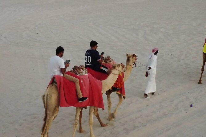 Doha-Private half day safari Sunrise/Sunset - From Doha to the Sea line desert