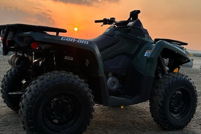 Doha-Private half day safari Sunrise/Sunset - Dune bashing with an experienced driver
