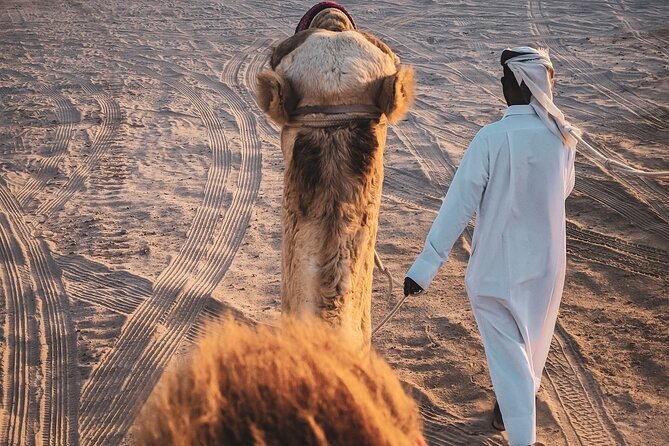 Doha-Private Half Day Safari with Horse Ride/Camel Ride/sandboard - Dune bashing with a guide who knows how to drive