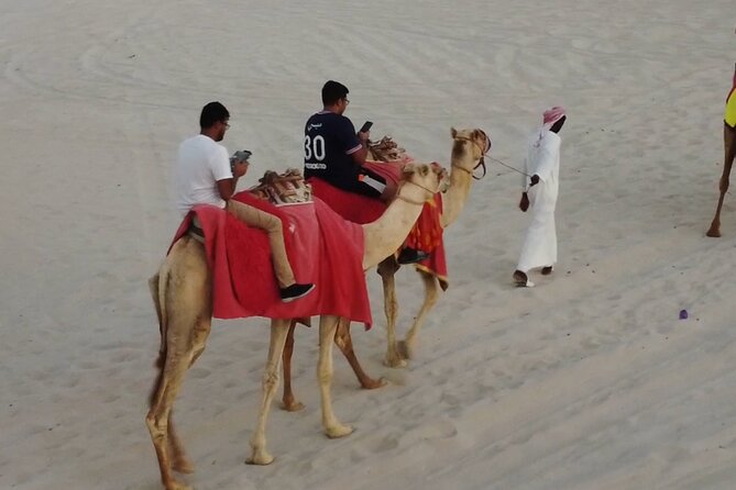 Doha-Private Half Day Safari with Horse Ride/Camel Ride/sandboard - The 40-minute horse ride is the special feature