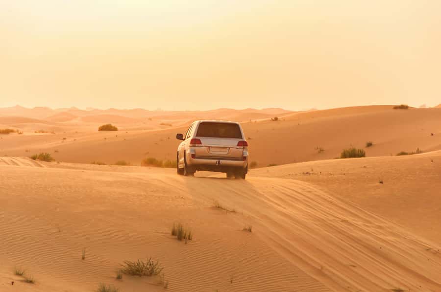 Doha: Private NIGHT desert safari with free camel ride - Practical tips for a smoother evening