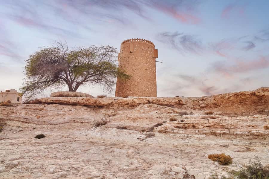 Doha : Private North of Qatar Tour, Zubara Fort & Mangroves - Al Jumail, a Traditional Village Left Behind