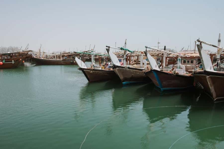 Doha : Private North of Qatar Tour, Zubara Fort & Mangroves - Al Khor, the Harbor, and the Northern Coast