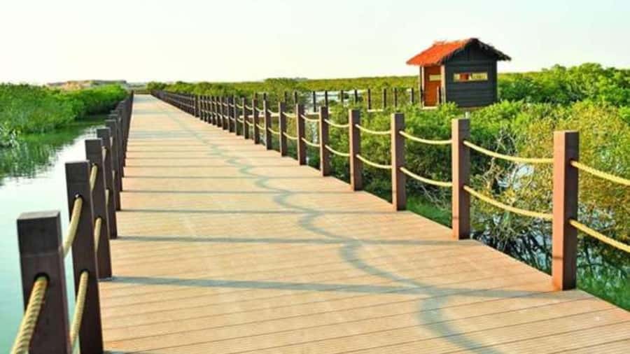 Doha : Private North of Qatar Tour, Zubara Fort & Mangroves - Is $64 Good Value for Five Hours?
