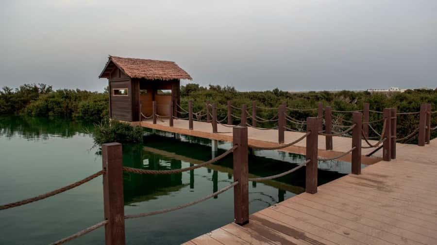 Doha : Private North of Qatar Tour, Zubara Fort & Mangroves - Should You Book the North of Qatar Tour?