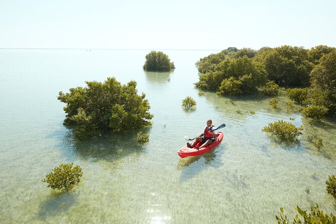 Doha Private North Qatar Tour, Mangroves and Al Zubarah Fort - Al Jumail and the meaning of an abandoned village
