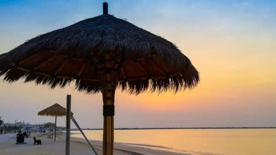 Doha: Private North Qatar Tour, Mangroves, & Zubara Fort - What makes this North Qatar tour worthwhile