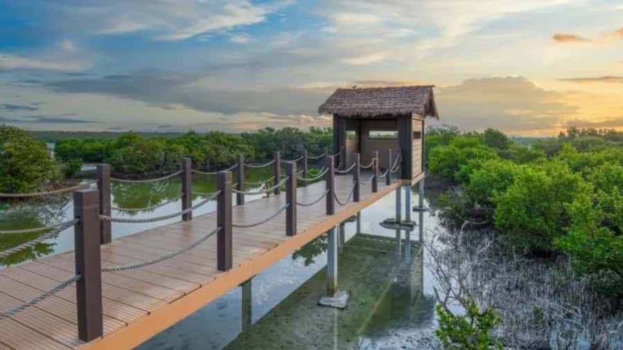 Doha: Private North Qatar Tour, Mangroves, & Zubara Fort - Who should book this experience?