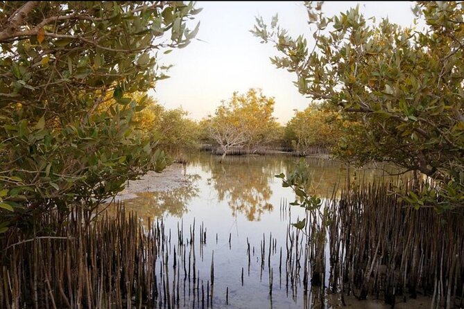 Doha Private North Tour Zubara Fort Purple Island & Mangrove - Who will get the most from this tour