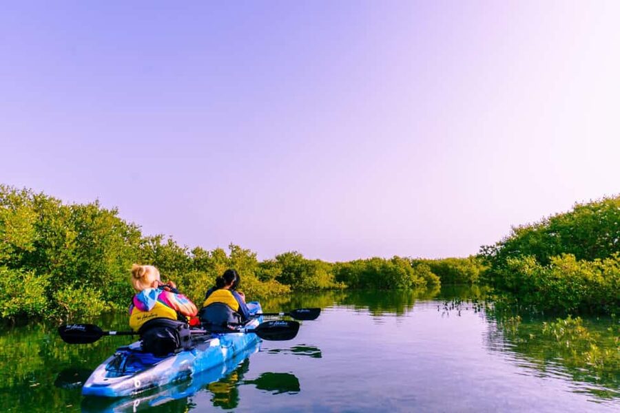 Doha: Private Purple Island Mangroves Kayaking Adventure - From Doha to Al Thakira in about 45 minutes