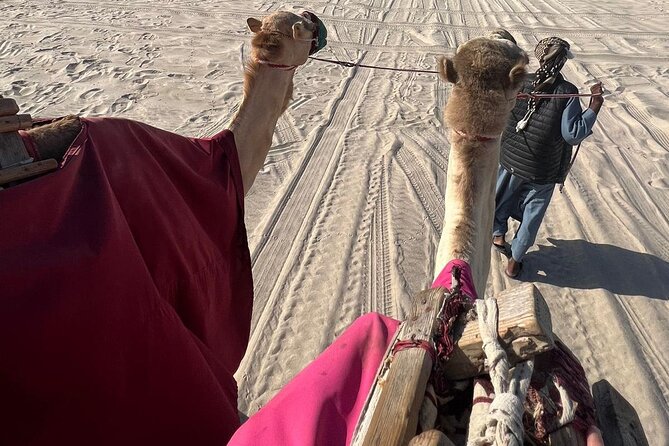 Doha Qatar ATV Quad Bike Buggy Dune Bashing and Camel Ride - Guides make the difference