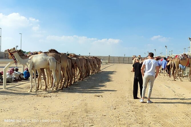 Doha, Qatar: Came Racing Track, Oryx & Sheikh Faisal Museum Tour. - Is $120 per person good value?