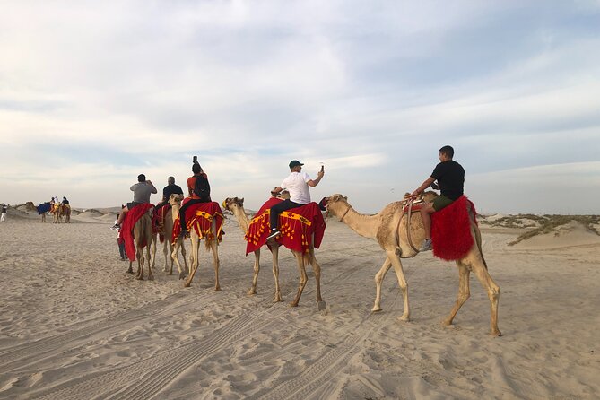Doha, Qatar: Doha Desert Safari & City - Full Day Private Tour. - Why this eight-hour pairing works
