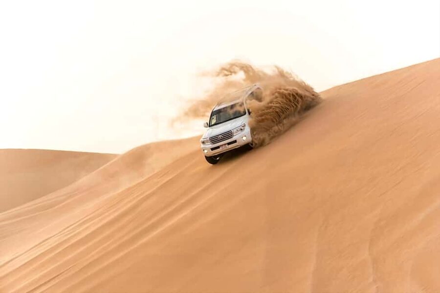 Doha Qatar : sealine adventure Camel Ride sandboard Sunset - From Doha streets to Qatar’s open desert