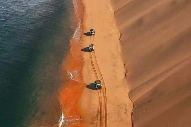 Doha Quad Bike, Dune Bashing, Camel Ride and Inland Sea Tour - Is $65 a fair price for this half-day outing?