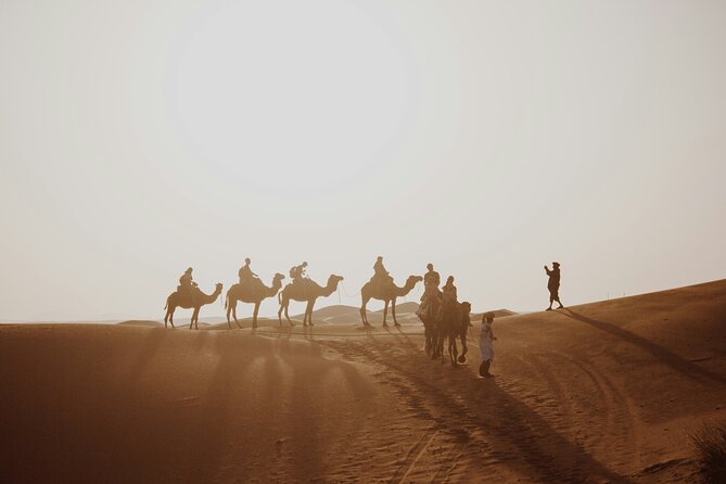 Doha Quad Bike, Dune Bashing, Camel Ride and Island Sea Tour - The 45-minute ride from Doha to Mesaieed
